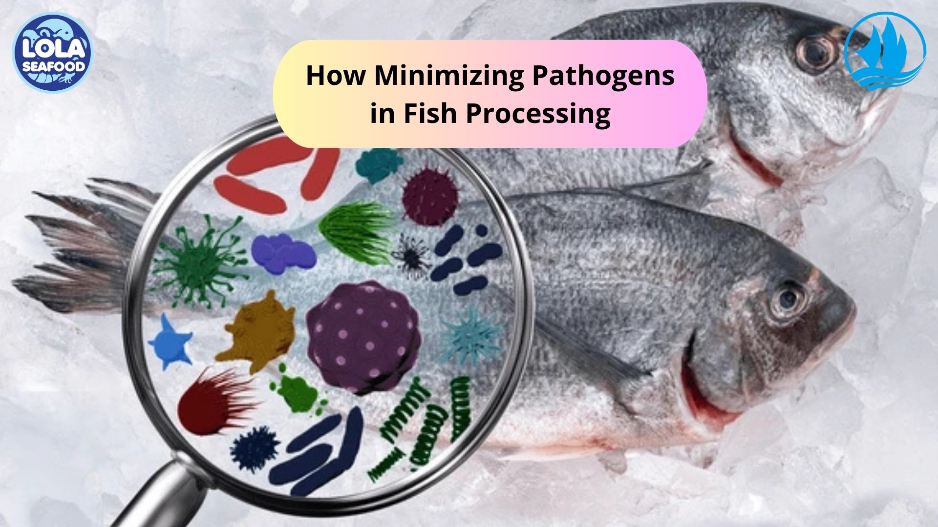 How Minimizing Pathogens in Fish Processing